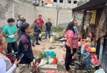 Rescatan a más de 30 animales víctimas de maltrato en Chimalhuacán; hay un detenido