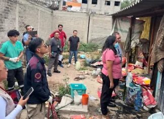 Rescatan a más de 30 animales víctimas de maltrato en Chimalhuacán; hay un detenido