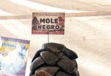 Vive un fin de semana inolvidable en el EdoMéx: arranca el avistamiento de luciérnagas; deléitate en la Feria de la Carpa y “Baila al Ritmo de la Vida”