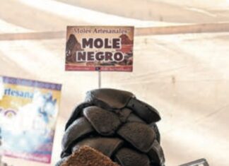 Vive un fin de semana inolvidable en el EdoMéx: arranca el avistamiento de luciérnagas; deléitate en la Feria de la Carpa y “Baila al Ritmo de la Vida”