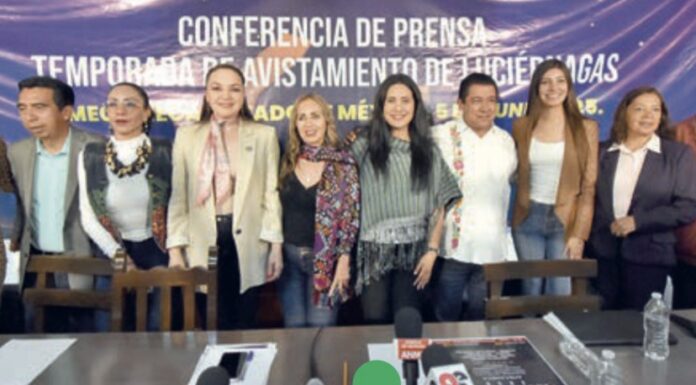 Arranca la temporada de avistamiento de luciérnagas. ¡Vive la experiencia en el EdoMéx!