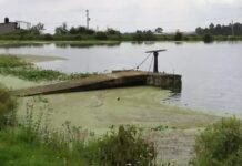 Lluvias ayudan a revertir la sequía en el Estado de México