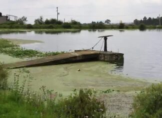 Lluvias ayudan a revertir la sequía en el Estado de México