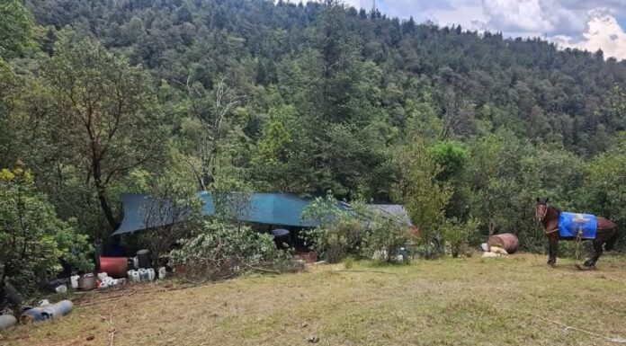 Localizan narcolaboratorio en Otzolotepec; fuerzas federales y estatales aseguran la zona