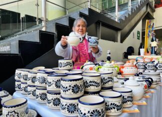 “Manos Mágicas” llena de arte y orgullo mexiquense el Senado de la República