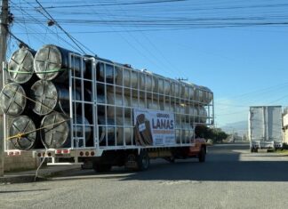 Sin percibir sueldo, Gerardo Lamas continúa apoyando a familias toluqueñas con programas sociales