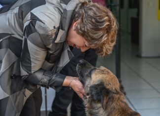 🐾 Estado de México conmemora el Día Mundial del Perro: refuerzan acciones a favor del bienestar animal