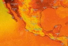 Advierten sobre efectos de la canícula en Edomex: podría provocar pérdida de cultivos y aumento en precios de alimentos