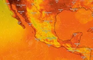 Advierten sobre efectos de la canícula en Edomex: podría provocar pérdida de cultivos y aumento en precios de alimentos