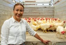 Lety Mejía impulsa producción de huevo en casa en apoyo a familias mexiquenses