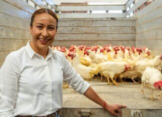 Lety Mejía impulsa producción de huevo en casa en apoyo a familias mexiquenses