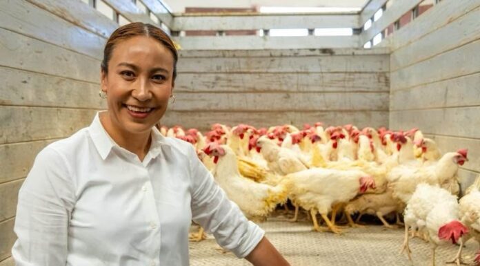 Lety Mejía impulsa producción de huevo en casa en apoyo a familias mexiquenses