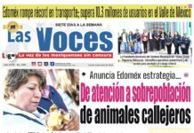 Anuncia Edoméx estrategia De atención a sobrepoblación de animales callejeros