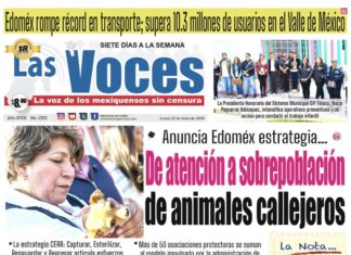Anuncia Edoméx estrategia De atención a sobrepoblación de animales callejeros