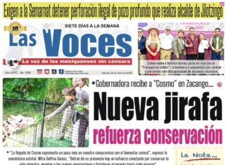 Gobernadora recibe a “Cosmo” en Zacango. Nueva jirafa refuerza conservación