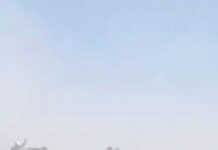 Crisis humanitaria en Gaza: mueren de hambre bebés y niños bajo asedio total