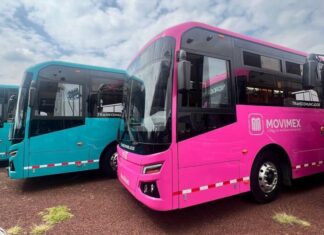 Gratuidad en Mexibús y Mexicable impulsa récord de usuarios: 11.5 millones de pasajeros en junio