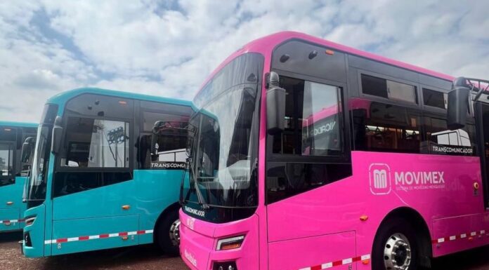 Gratuidad en Mexibús y Mexicable impulsa récord de usuarios: 11.5 millones de pasajeros en junio