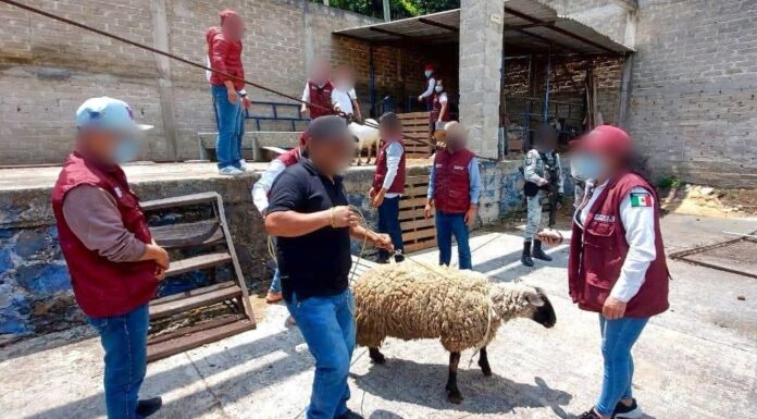 Concluye Edoméx entrega de bienes asegurados durante la Operación “Liberación”