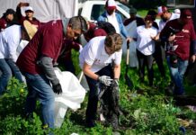 Con energía limpia, Gobierno de Delfina Gómez beneficia a más de 2 mil 700 habitantes de comunidades rurales