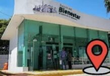 Pensión por Discapacidad en Edomex: así se puede consultar el avance del trámite