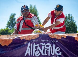 Toluca reúne 10 toneladas de víveres en apoyo a familias afectadas por lluvias