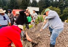 Refuerzan márgenes del Río Lerma con encostalamiento preventivo ante riesgo de inundaciones