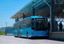 Supera Edoméx 36 millones de viajes gratuitos con Delfina Gómez; movilidad digna e incluyente