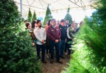 Edoméx inaugura la Expo Navidad Forestal 2025 en Metepec: árboles naturales, artesanías y consumo responsable