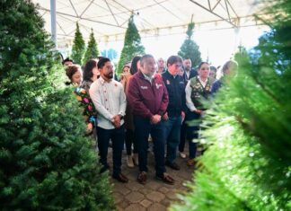 Edoméx inaugura la Expo Navidad Forestal 2025 en Metepec: árboles naturales, artesanías y consumo responsable