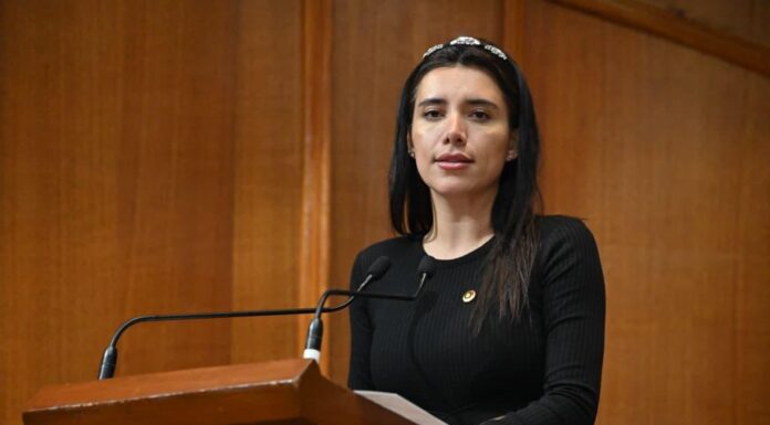 Itzel Pérez Correa, una de las diputadas con más agallas del Congreso, impulsa la despenalización de la eutanasia en México