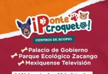 EdoMéx lanza campaña “Ponte Croquet@” para apoyar a lomitos y michis rescatados