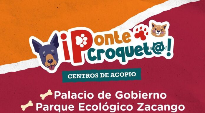 EdoMéx lanza campaña “Ponte Croquet@” para apoyar a lomitos y michis rescatados