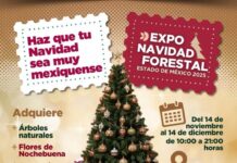 Celebran tradiciones y economía local en la Expo Navidad Forestal 2025 en Metepec