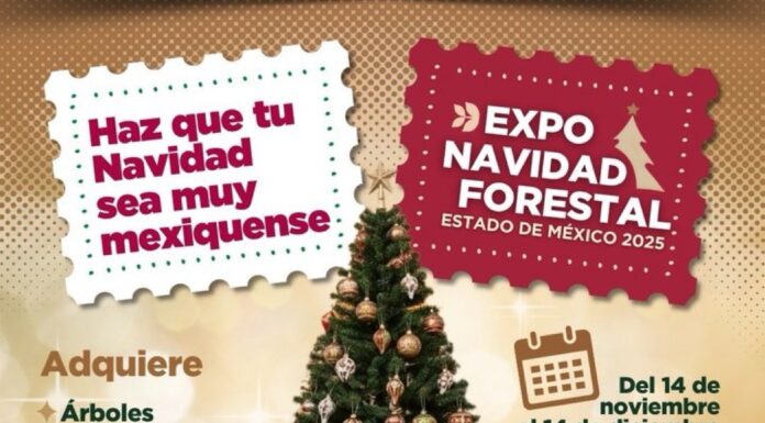 Celebran tradiciones y economía local en la Expo Navidad Forestal 2025 en Metepec