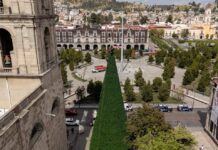 Toluca encenderá su Árbol Navideño este 1 de diciembre