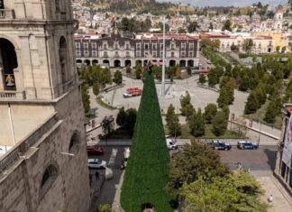 Toluca encenderá su Árbol Navideño este 1 de diciembre