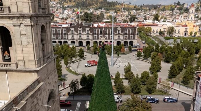 Toluca encenderá su Árbol Navideño este 1 de diciembre