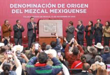 UAEMéx contribuye al reconocimiento de 15 municipios con la Denominación de Origen del Mezcal Mexiquense