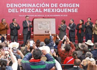 UAEMéx contribuye al reconocimiento de 15 municipios con la Denominación de Origen del Mezcal Mexiquense