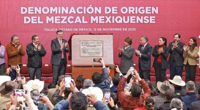 UAEMéx contribuye al reconocimiento de 15 municipios con la Denominación de Origen del Mezcal Mexiquense