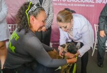 Gobierno de Delfina Gómez impulsa programa de acompañamiento canino para niñas y niños en atención odontológica