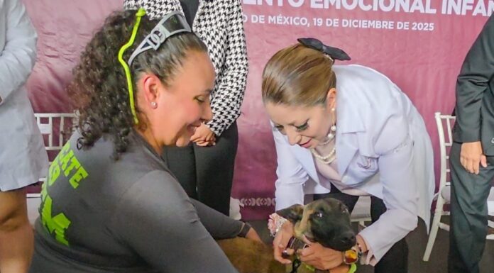 Gobierno de Delfina Gómez impulsa programa de acompañamiento canino para niñas y niños en atención odontológica