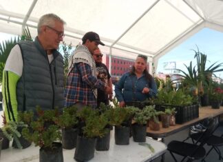 Tlalnepantla sienta bases de una nueva etapa ambiental con acciones históricas de reforestación y educación ecológica