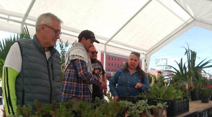 Tlalnepantla sienta bases de una nueva etapa ambiental con acciones históricas de reforestación y educación ecológica