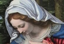 Destacan importancia de la lactancia materna como cuidado esencial de la vida