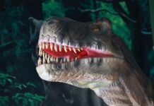 El espíritu navideño llega al Museo “Jurásica” en Ecatepec