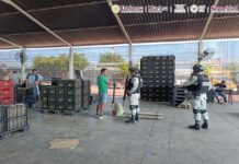 Autoridades detienen a 10 personas en Michoacán durante operativo del “Plan por la Paz y la Justicia”