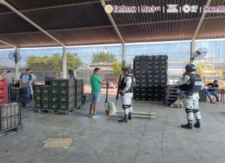 Autoridades detienen a 10 personas en Michoacán durante operativo del “Plan por la Paz y la Justicia”