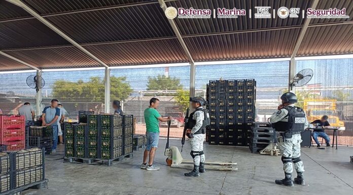 Autoridades detienen a 10 personas en Michoacán durante operativo del “Plan por la Paz y la Justicia”